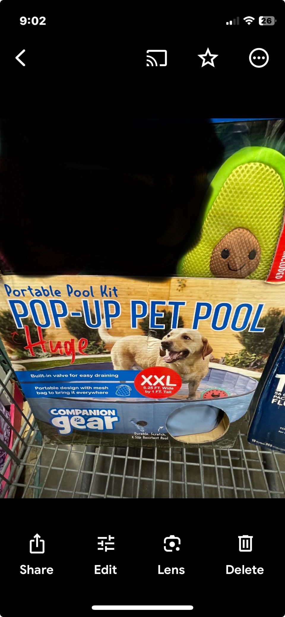 Pet Pool XXL With Floating Toy