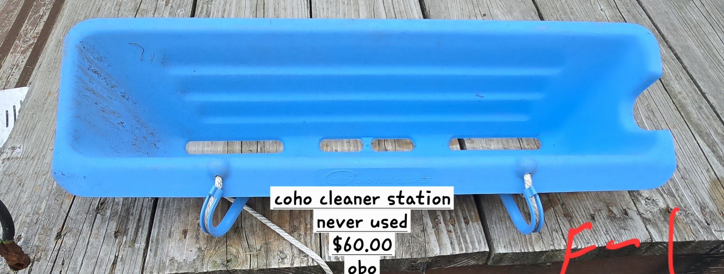 Fish Cleaning Station