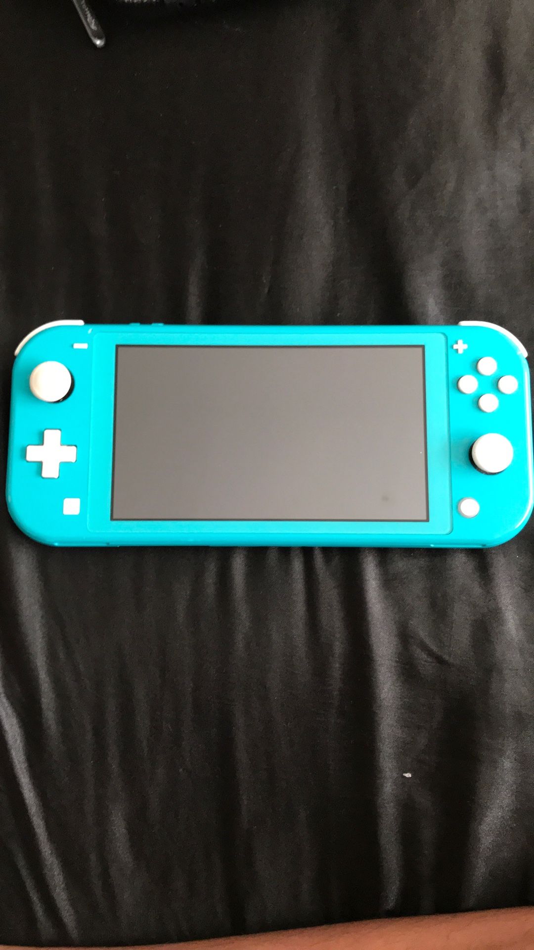 Nintendo Switch Lite With Case