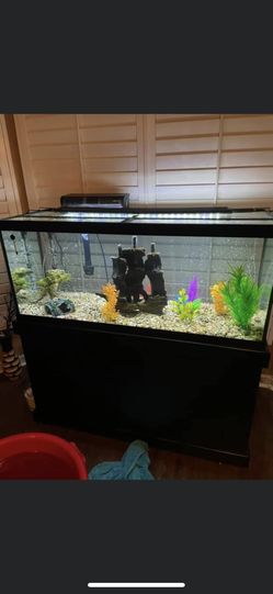 Fishing Tank With Furniture