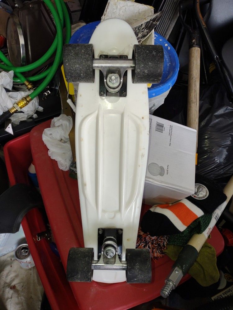 Penny Board Skateboard