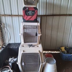 Dog Crates: 