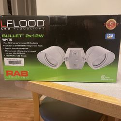 RAB Bullet Flood Light 