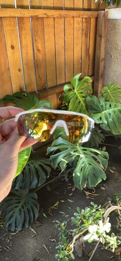 Rawlings sunglasses