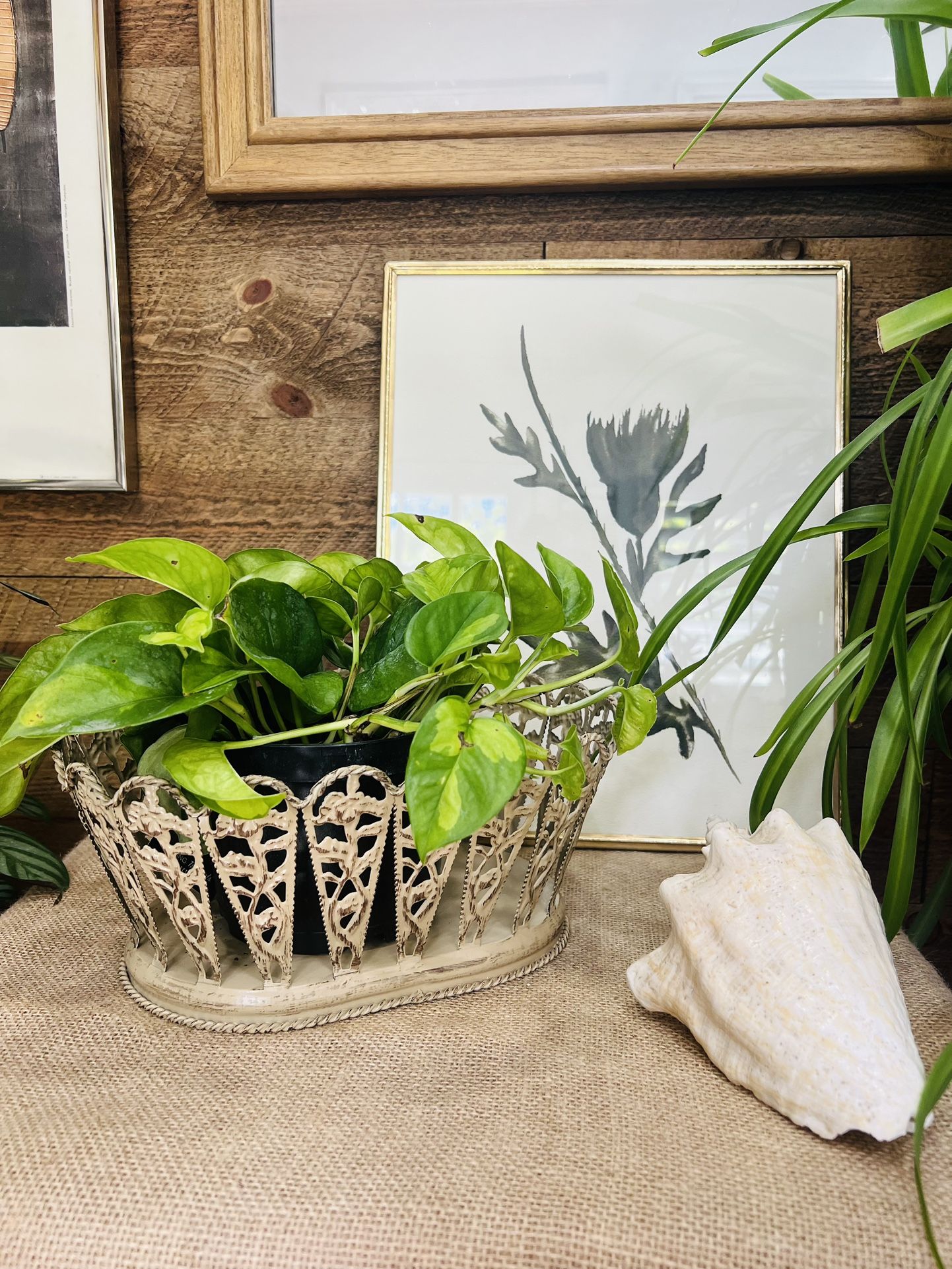 Boho Metal Distressed Beige Rust Basket Shabby Farmhouse Plant Holder Retro Vintage Look