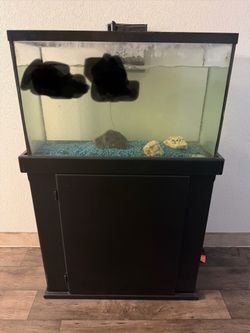 Fish tank and stand