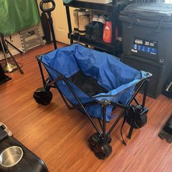Beach/Travel Cart 