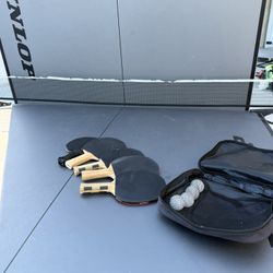 Ping Pong Table
