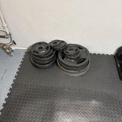 Olympic Weight Plates 