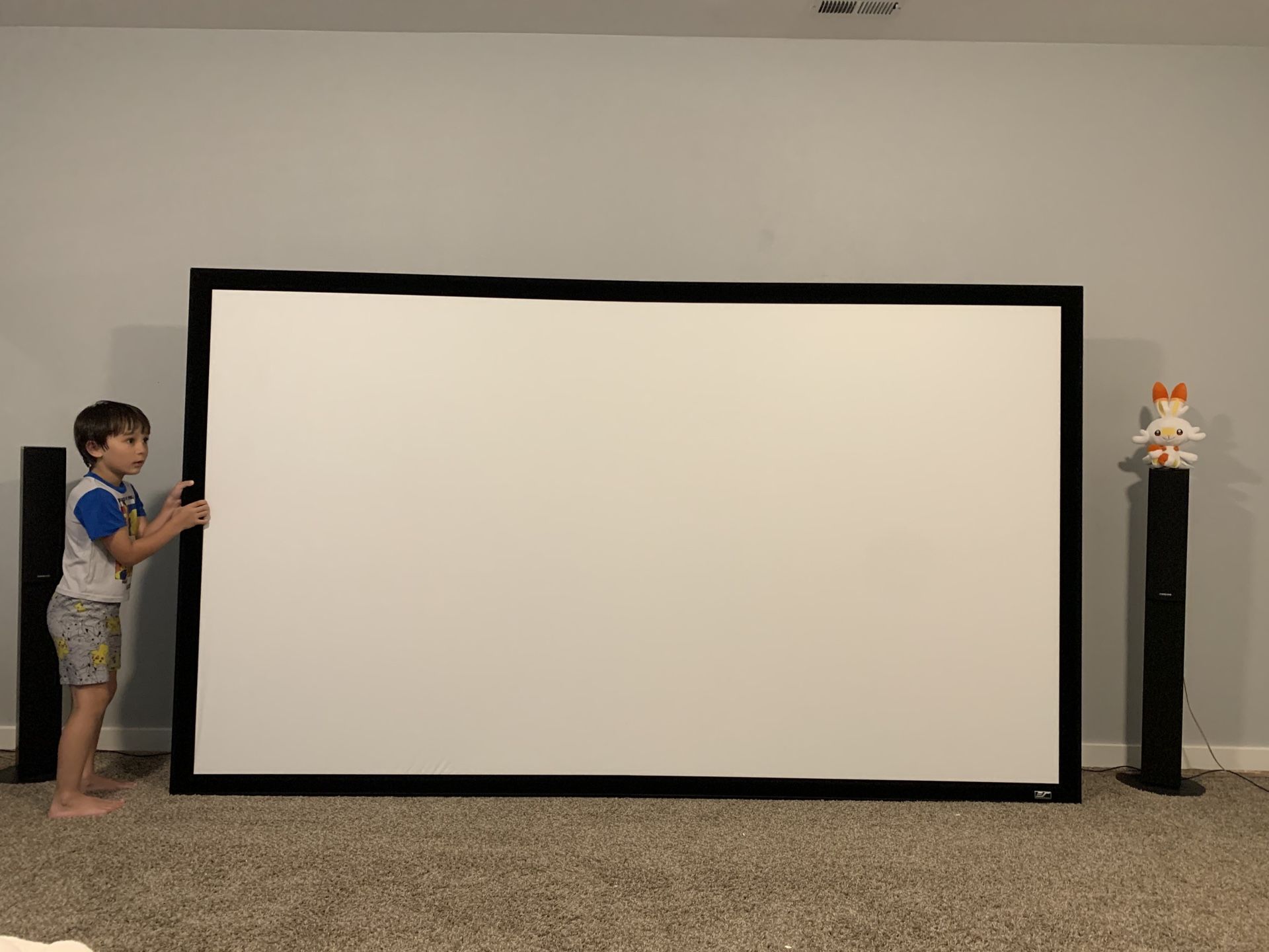 Elite Screens 120 inch