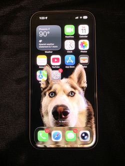 iPhone 15