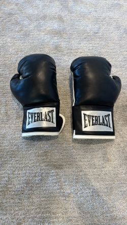 Everlast boxing gloves