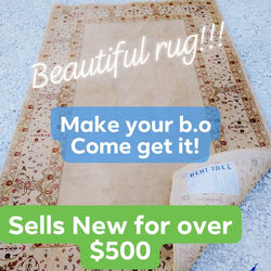 8*10 GORGEOUS AREA RUG