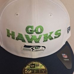 🎄 Christmas Deals!! Seahawks HATS $20 Each