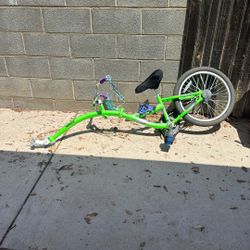 Kids Trailer Bike