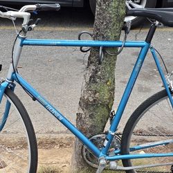 Raleigh Technium USA 440 64cm Road Bike...