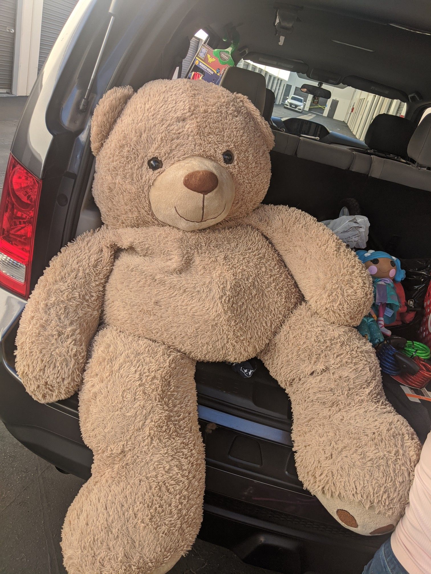$15 Giant teddy bear OBO