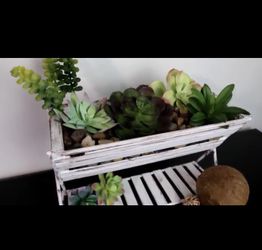 Farm style triangle create w succulents or flowers in your choice color 💓😊