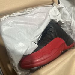 Size 10 Jordan 12 Flu Game