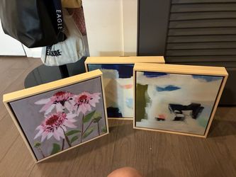 Set of 3 Framed Canvas Wall Art Prints