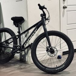Giant STP 20