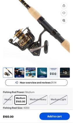 Penn battle II rod and reel combo