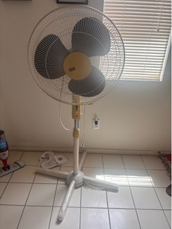 Standing Oscillating Fan