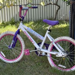 Dynocraft Bike 