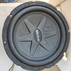 12-in woofer