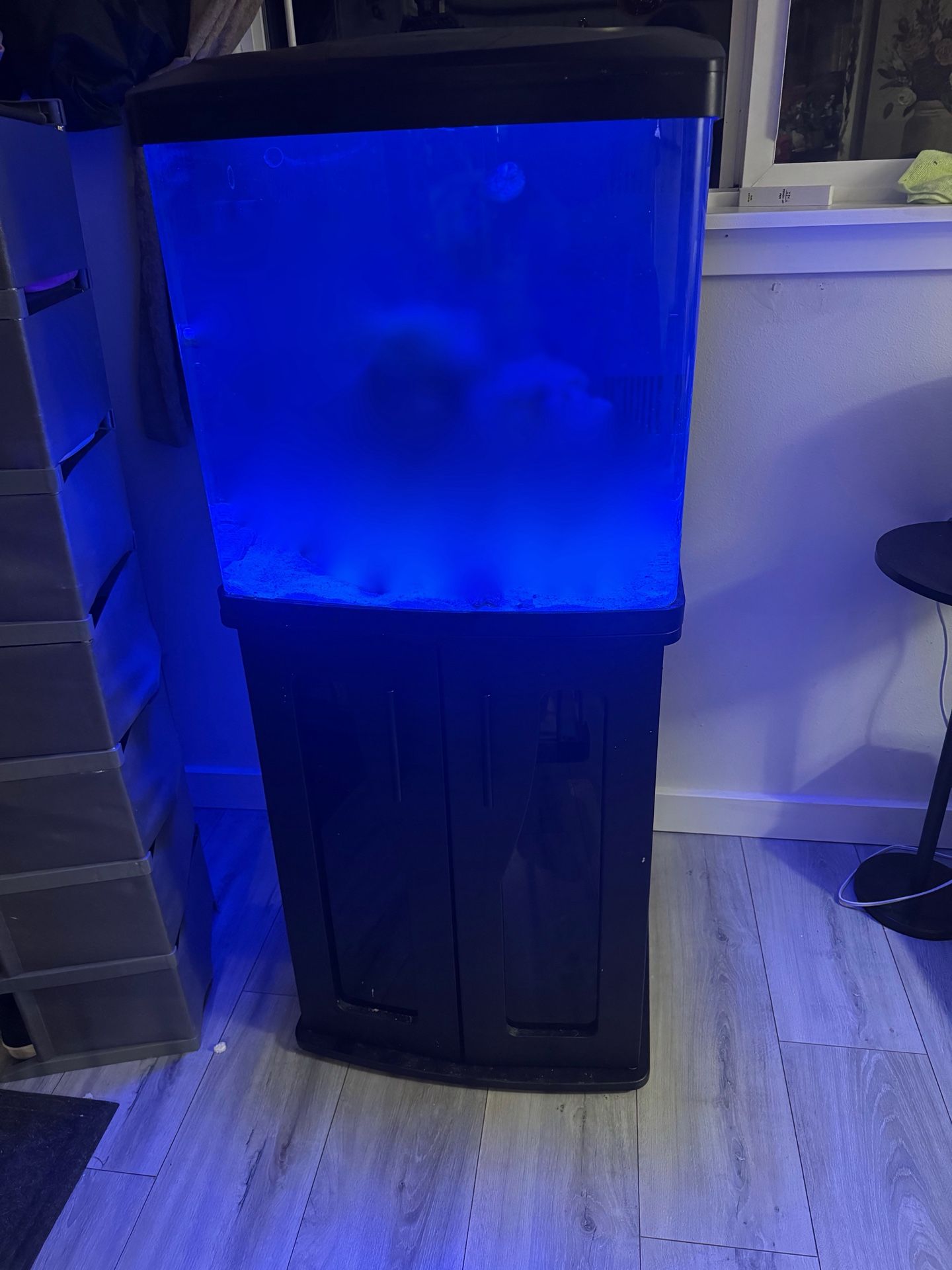 Coralife LED Biocube 32 gallon Saltwater Aquarium w/ stand and add ons
