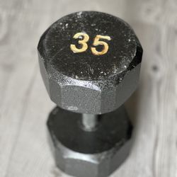 Dumbbell 35lbs & 30lbs