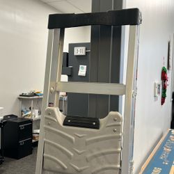 Little Giant 6 Foot Ladder 