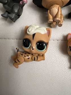Series 1 Baby Dog Toy Lol Surprise Doll Pet Check Meowt MISS SKUNK Puppy Cat Kitty for Sale in Seattle WA OfferUp