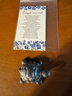 Hard shell turtle with stump feet