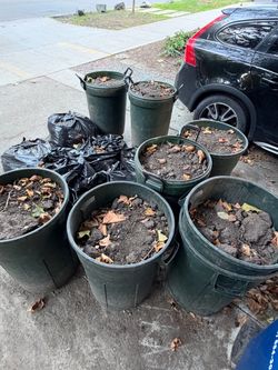 Free dirt
