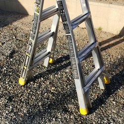 Gorilla Ladder 4ft-12ft 