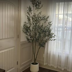 Faux Olive Trees 