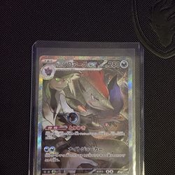 N’s Zororak ex 127/100 (Battle Partners)