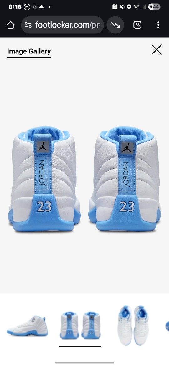 Jordan's 12