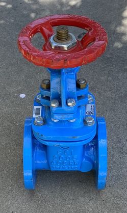 2.5” Watts Gate Valve
