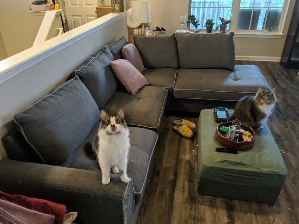 Sectional Couch