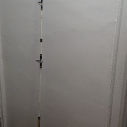 Two Piece Surf Rod 9 Ft