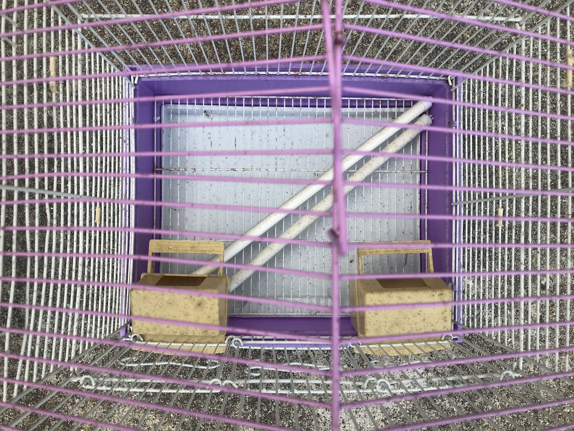 Bird Cage 