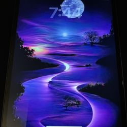 iPad Pro 12.9 A1876 1TB iOS 26.1