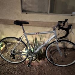 700x25c.DIAMONBACK MENS ROAD RACING BIKE. (L). 54CM. FRESHLY TUNE UP EXCELLLENT CONDITION 👌🏼