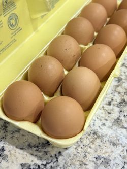 Farm Fresh Eggs 