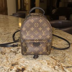 Louis Vuitton Palm Springs Mini Backpack
