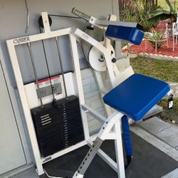Cybex Classic Lower Back Extension Machine