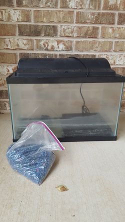 20x10in fish tank