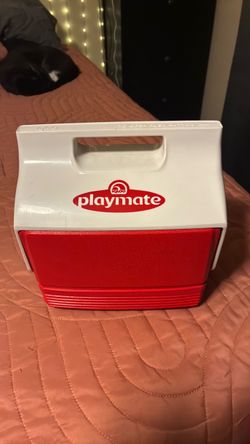 Small playmate lunchbox